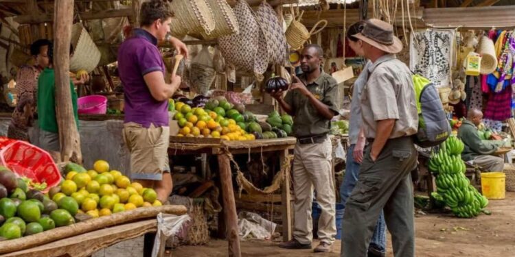 Tanzania’s Tourism Boom Faces a New Test: Can Local Businesses Capture More Spending?