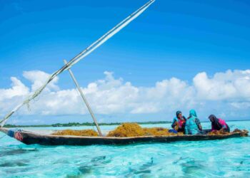 Tanzania Looks to Capture More Value From the Blue Economy
