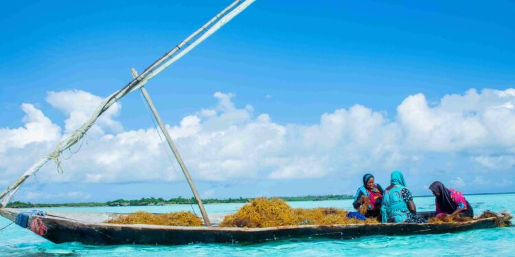 Tanzania Looks to Capture More Value From the Blue Economy